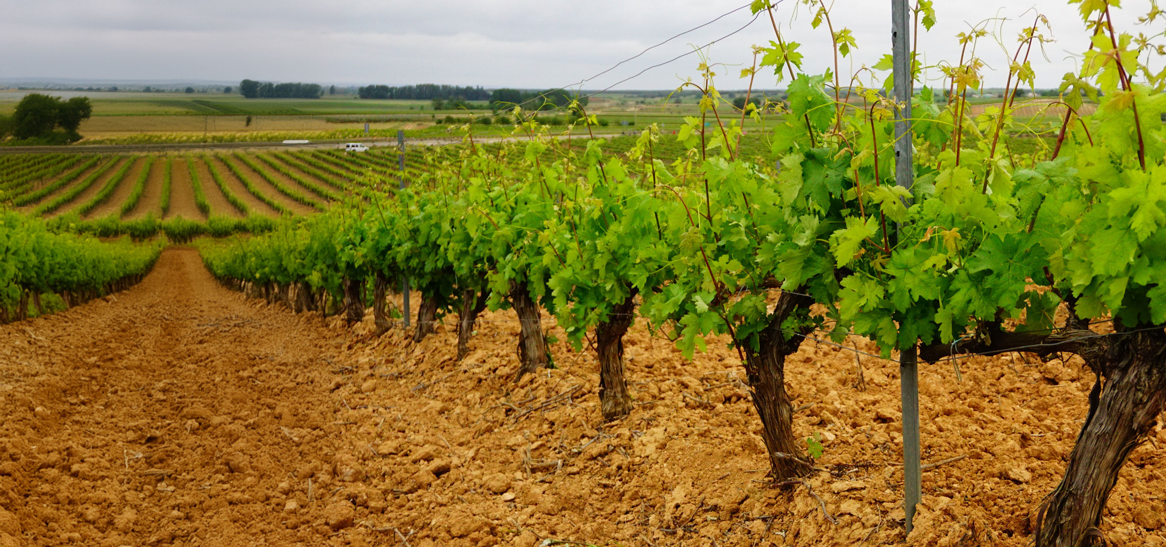 Biodynamic Wine Store RI