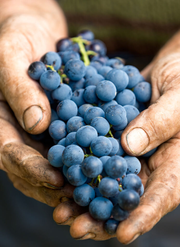 Organic Wine Cranston RI