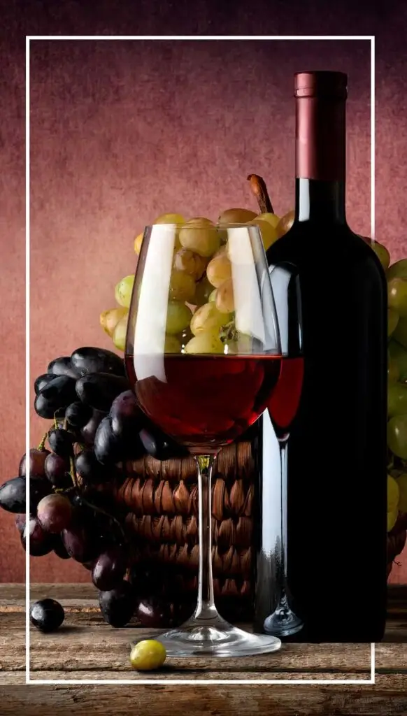 Rhode Island organic wine